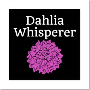 Dahlia Whisperer Posters and Art